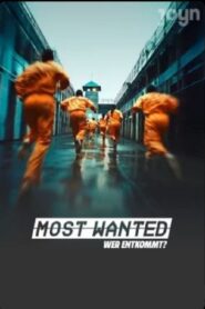 Most Wanted