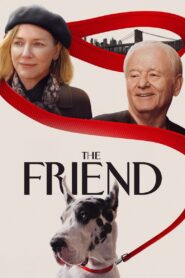 The Friend 2025 film online